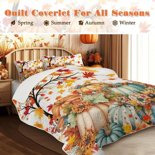 PURE PLY TEXTILES 3Pcs Colorful Oil | Orthopedic Relief