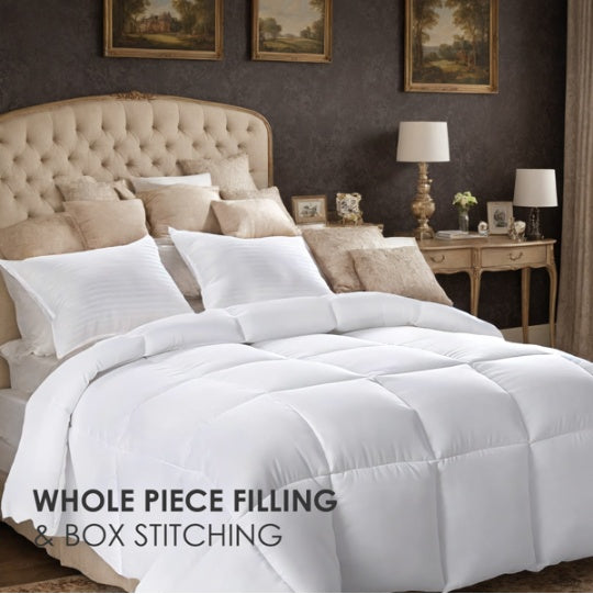 PURE PLY TEXTILES Polyester Brushed Single | Layered Warmth